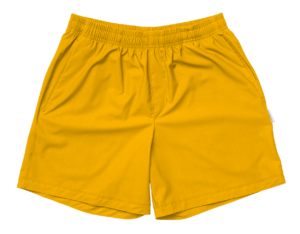 MEN'S SUBLIMATED JOURNEY SHORT 2.0